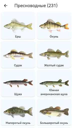 Скриншот 2 — Планета Рыб