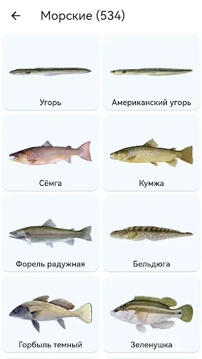 Скриншот 3 — Планета Рыб