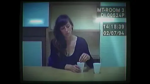Скриншот 5 — Her Story