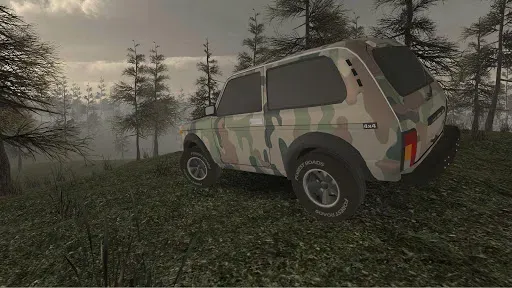 Скриншот 8 — Forest Roads. Niva
