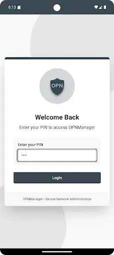 Скриншот 1 — OPNManager