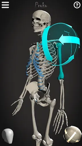 Скриншот 1 — Skelly: Poseable Anatomy Model