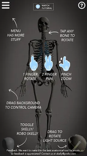 Скриншот 2 — Skelly: Poseable Anatomy Model