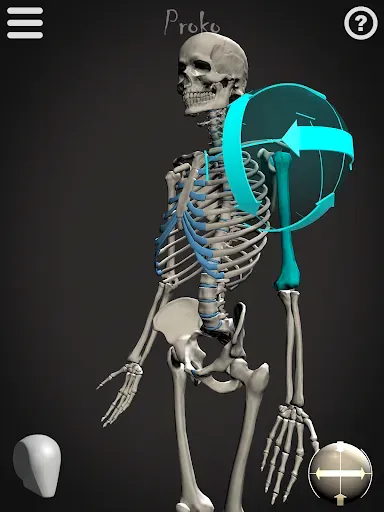Скриншот 7 — Skelly: Poseable Anatomy Model