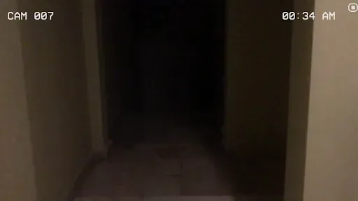 Скриншот 7 — Paranormal Inc.