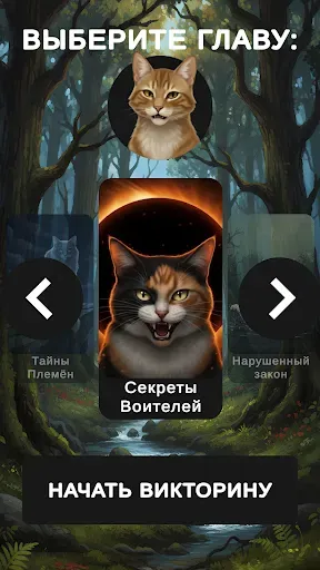 Скриншот 2 — Секреты Котов-Воителей