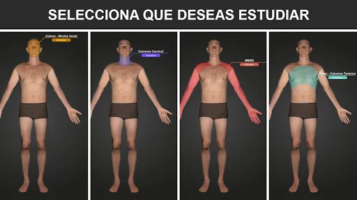 Скриншот 1 — RX - Posiciones Radiológicas