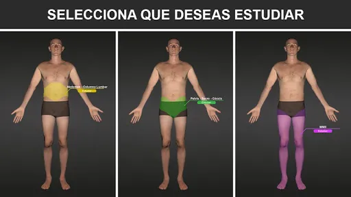 Скриншот 2 — RX - Posiciones Radiológicas