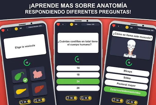 Скриншот 1 — Anato Trivia - Quiz Anatomía