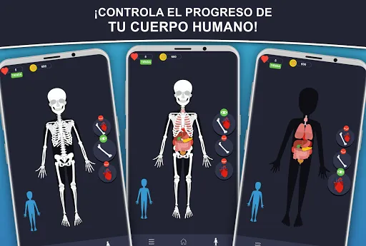 Скриншот 2 — Anato Trivia - Quiz Anatomía
