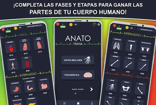 Скриншот 3 — Anato Trivia - Quiz Anatomía
