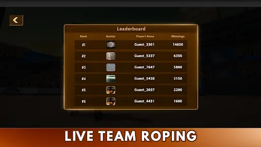 Скриншот 2 — Live Team Roping