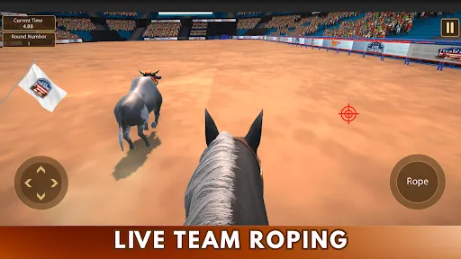 Скриншот 4 — Live Team Roping