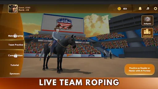 Скриншот 5 — Live Team Roping