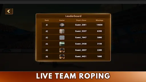 Скриншот 6 — Live Team Roping