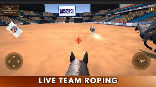 Скриншот 7 — Live Team Roping