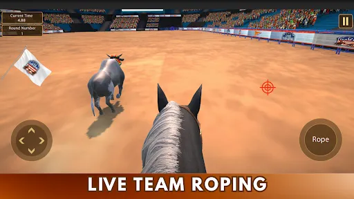 Скриншот 8 — Live Team Roping