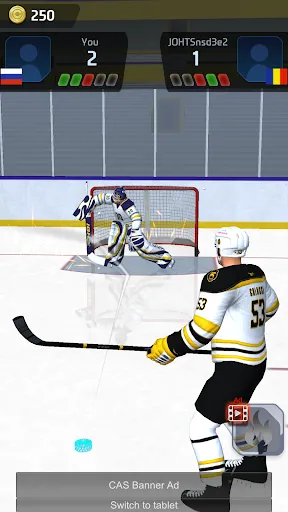 Скриншот 5 — Hockey Game Stars 3D