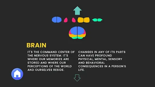 Скриншот 8 — Neuropal - play and learn