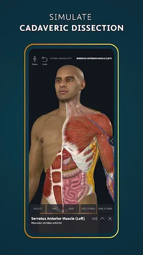 Скриншот 2 — Complete Anatomy - Learn in 3D