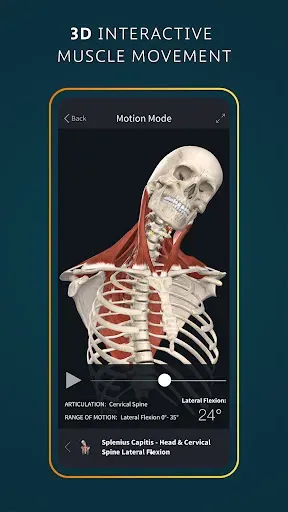 Скриншот 3 — Complete Anatomy - Learn in 3D
