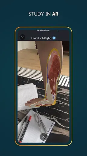 Скриншот 4 — Complete Anatomy - Learn in 3D