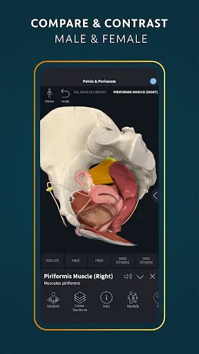Скриншот 5 — Complete Anatomy - Learn in 3D