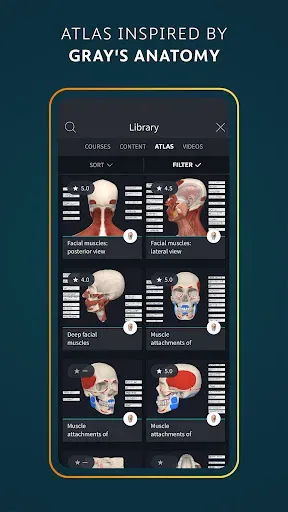Скриншот 6 — Complete Anatomy - Learn in 3D