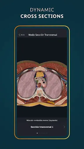 Скриншот 7 — Complete Anatomy - Learn in 3D