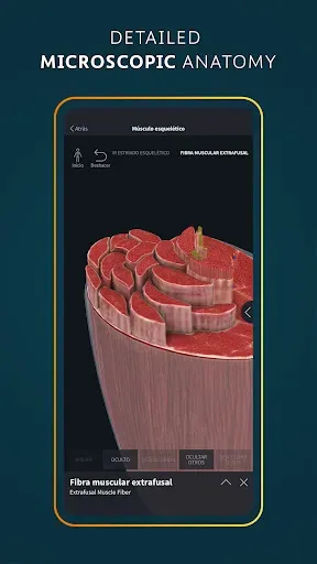 Скриншот 8 — Complete Anatomy - Learn in 3D