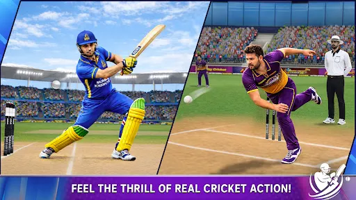 Скриншот 3 — Indian Cricket Game 26