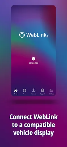 Скриншот 2 — WebLink Host