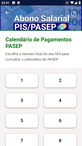Скриншот 5 — Consulta PIS PASEP 2025: Guia