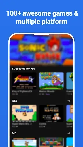 Скриншот 1 — Video Game