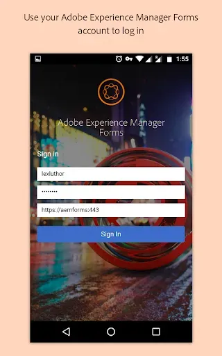 Скриншот 1 — Adobe Experience Manager Forms