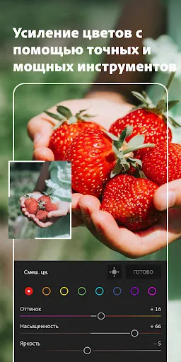 Скриншот 7 — Adobe Lightroom - Фоторедактор