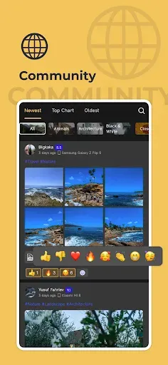Скриншот 4 — AGC ToolKit - Watermark LUT
