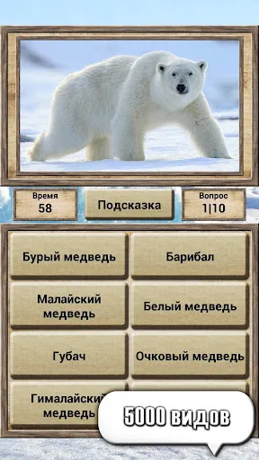 Скриншот 2 — Мир животных – викторина