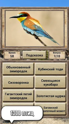Скриншот 3 — Мир животных – викторина