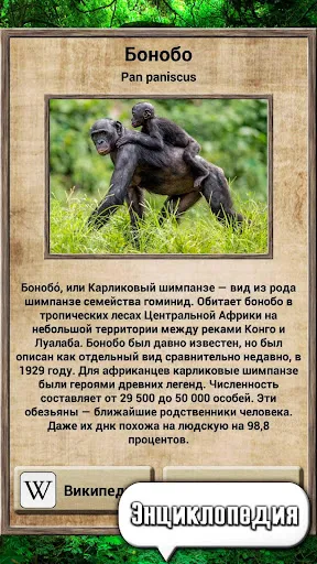 Скриншот 5 — Мир животных – викторина