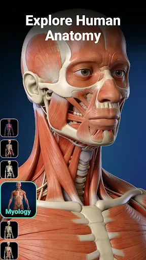 Скриншот 1 — Anatomy Learn