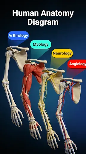 Скриншот 3 — Anatomy Learn