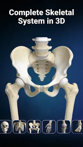Скриншот 4 — Anatomy Learn