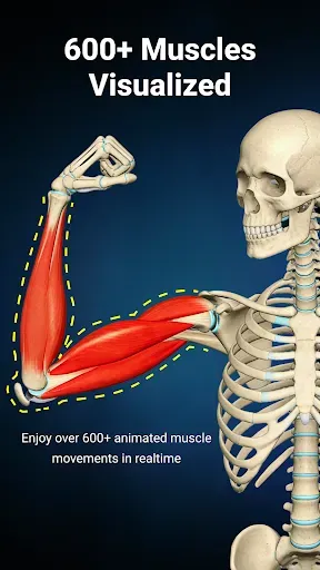 Скриншот 5 — Anatomy Learn
