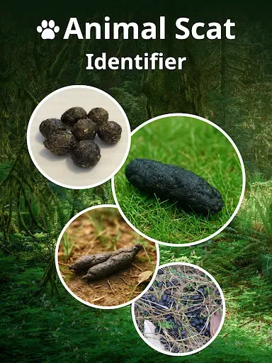 Скриншот 6 — Animal Scat Identifier Poop ID