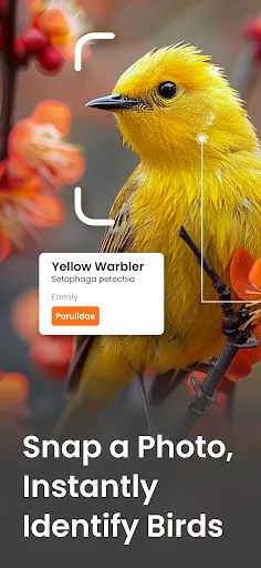 Скриншот 1 — Bird Identifier Sound Call ID