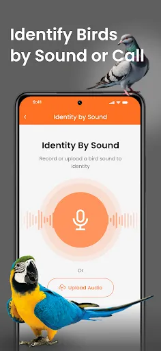 Скриншот 5 — Bird Identifier Sound Call ID