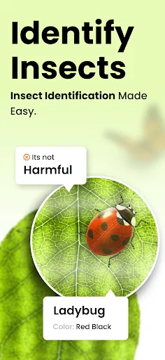 Скриншот 8 — AI Insect & Bug Identifier App