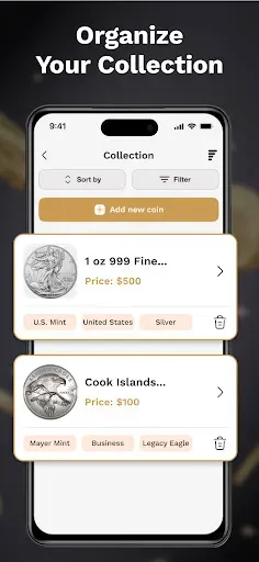 Скриншот 3 — Coin Collection Manager