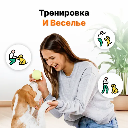 Скриншот 4 — Переводчик Человек-Собака